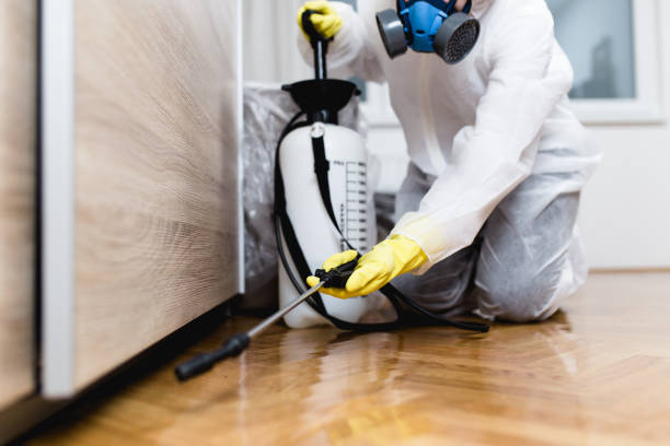 Best Pest Removal Services  in West Springfield, VA