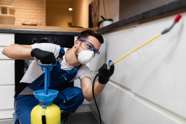 Best Emergency Pest Control  in West Springfield, VA