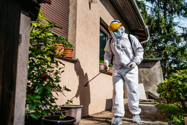 Best Wasp Removal Services  in West Springfield, VA