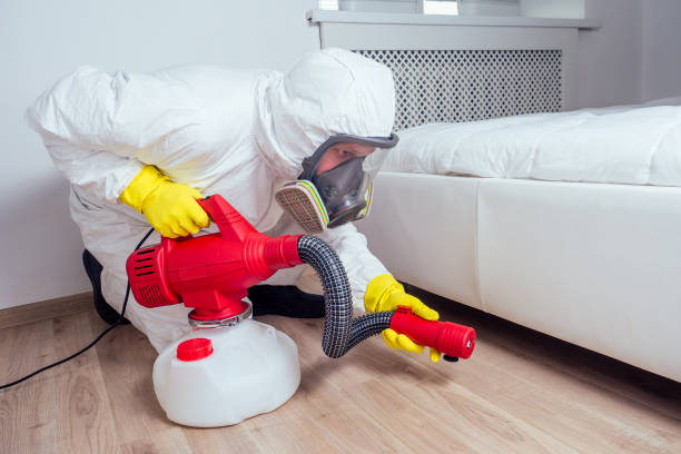 Best Best Pest Control Near Me  in West Springfield, VA