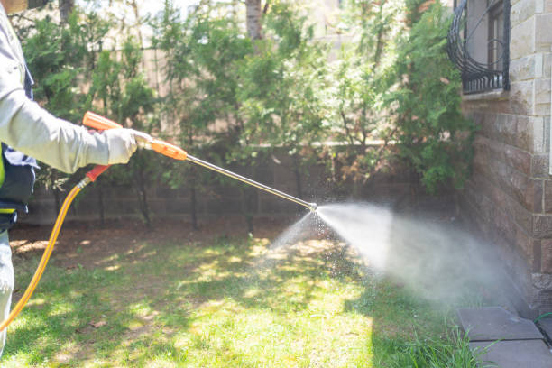 Best Rodent Control Near Me  in West Springfield, VA