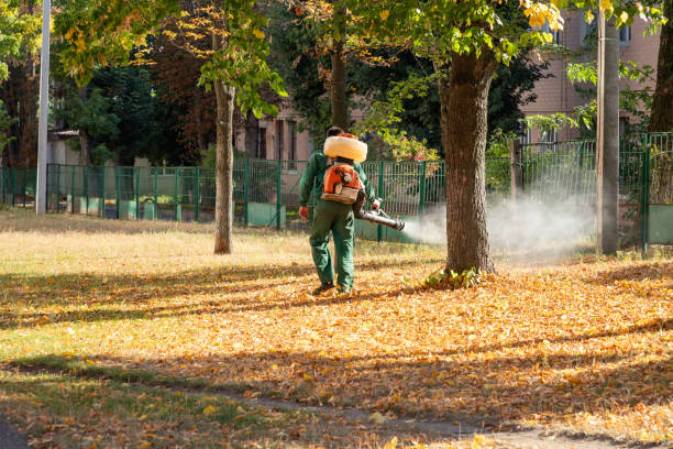 Best Pest Control Near Me  in West Springfield, VA